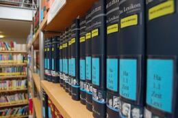 ... Bücher studieren oder einfach nur schmökern.